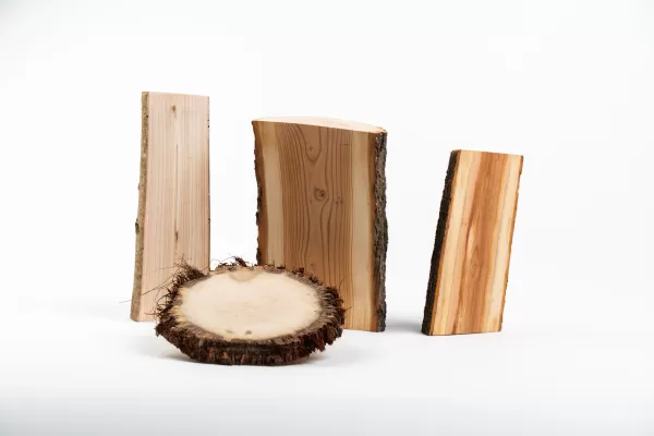 Letokruhy - Barevná jádra ve dřevě - Meruňka - Švestka -Palma - Olše- Blog