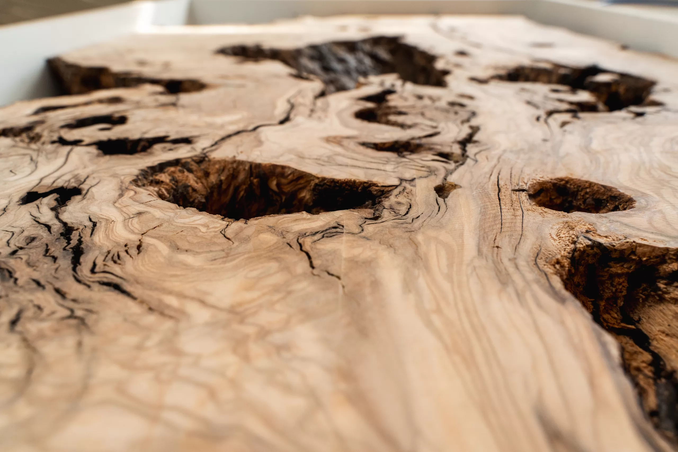 Exotické dřeviny - Olivové dřevo - Blog