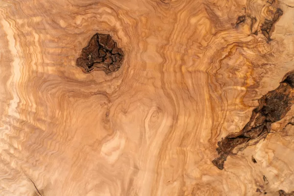 Exotické dřeviny - Olivové dřevo - Detail - Blog