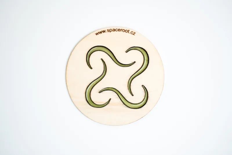 Dřevěný podtácek - Space root - s epoxidem - zelený