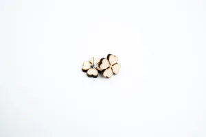 Náušnice - Space root - čtyřlístek