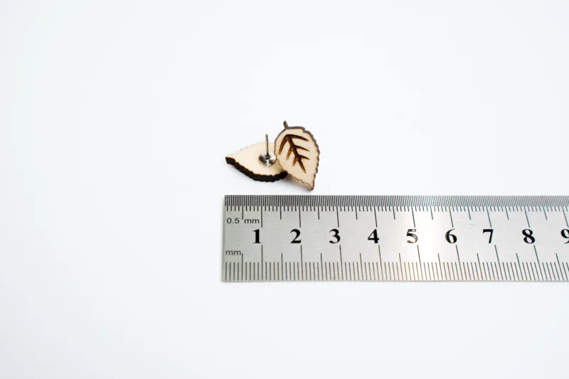 Náušnice - Space root - listy - s rozměrem