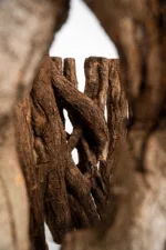 Podnož - Borne Lun - pohled zboku dovnitř detail 2