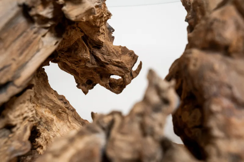 Podnož - Borne Trib - detail 2