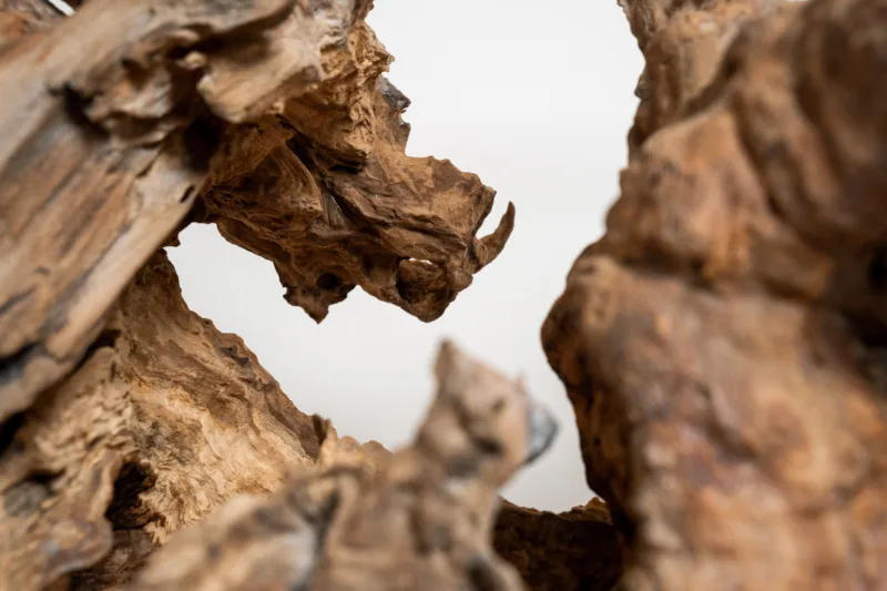 Podnož - Borne Trib - detail 3