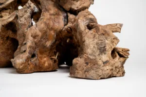 Podnož - Borne Trib - detail