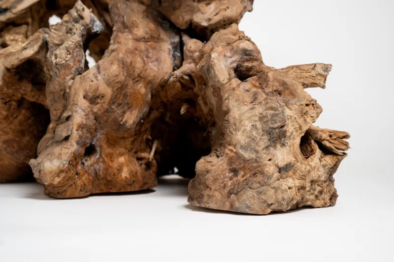 Podnož - Borne Trib - detail