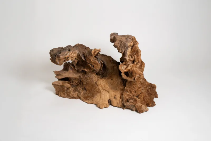 Podnož - Borne Trib - pohled z úhlu