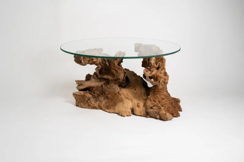 Konferenční stůl z více než 100 let starého olivového kořene s kruhovou skleněnou deskou Glase Cir (80 cm). Spojení přírodního artefaktu a elegantního designu.