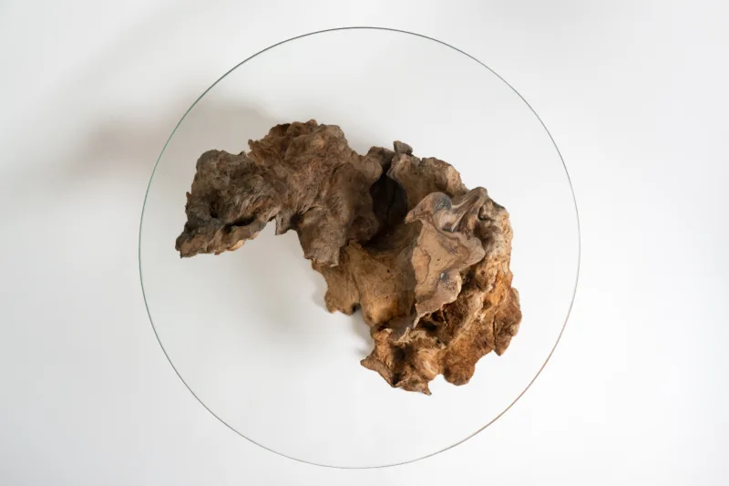 Konferenční stůl Bon Tribelle je originální solitér, který propojuje sílu přírody, čistotu materiálu a ruční zpracování v jeden harmonický celek. Základ stolu tvoří více než sto let starý kořen olivovníku, který přirozeným procesem času získal neopakovatelnou strukturu a charakter. Tento organický základ doplňuje jednoduchá kruhová skleněná deska, která nechává přírodě volný prostor zazářit.