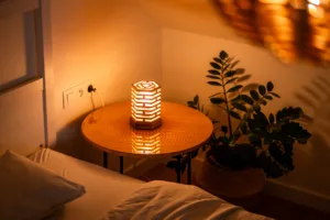 Stolní lampička - Space root - Tria Bene