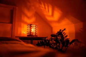 Stolní lampička - Space root - Tria Chin