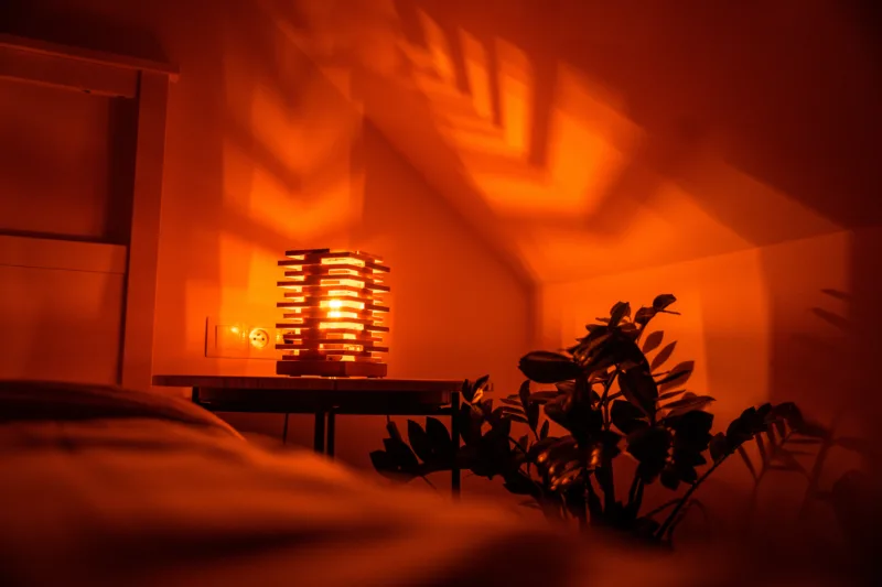 Stolní lampička - Space root - Tria Chin