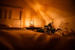 Stolní lampička - Space root - Tria Tympa