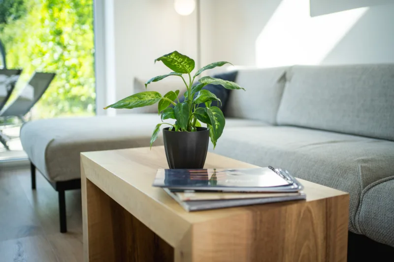 konferencni-stul-bon-foram-z-uhlu