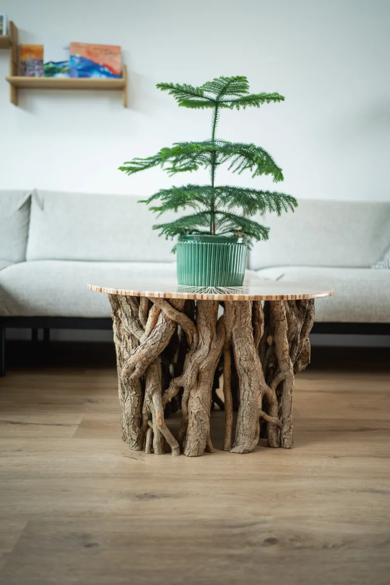 konferecni-stul-bon-lunelle-deska-arbo-iris-interier-rostlina