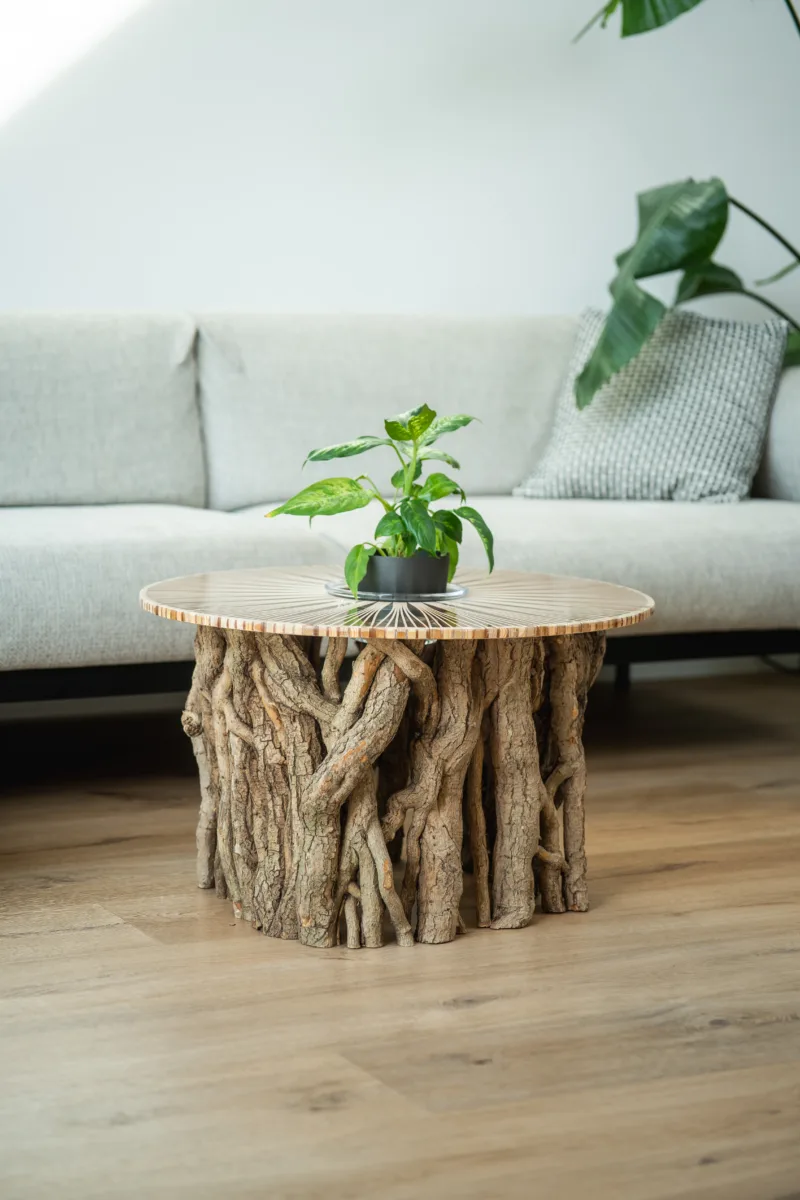 konferecni-stul-bon-lunelle-deska-arbo-iris-interier-predni-strana