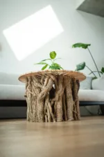 konferecni-stul-bon-lunelle-deska-arbo-iris-interier-podhled