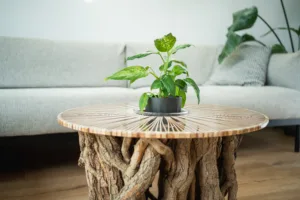 konferecni-stul-bon-lunelle-deska-arbo-iris-interier-detail