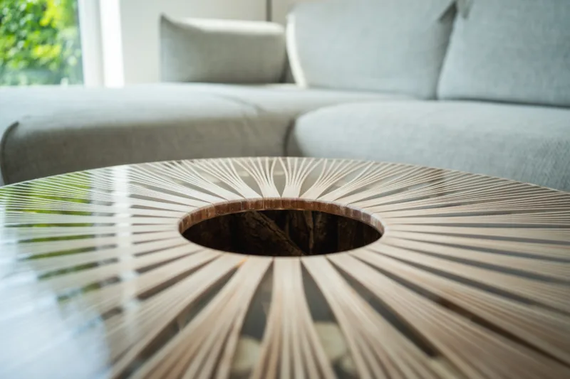 konferecni-stul-bon-lunelle-deska-arbo-iris-detail-stredu