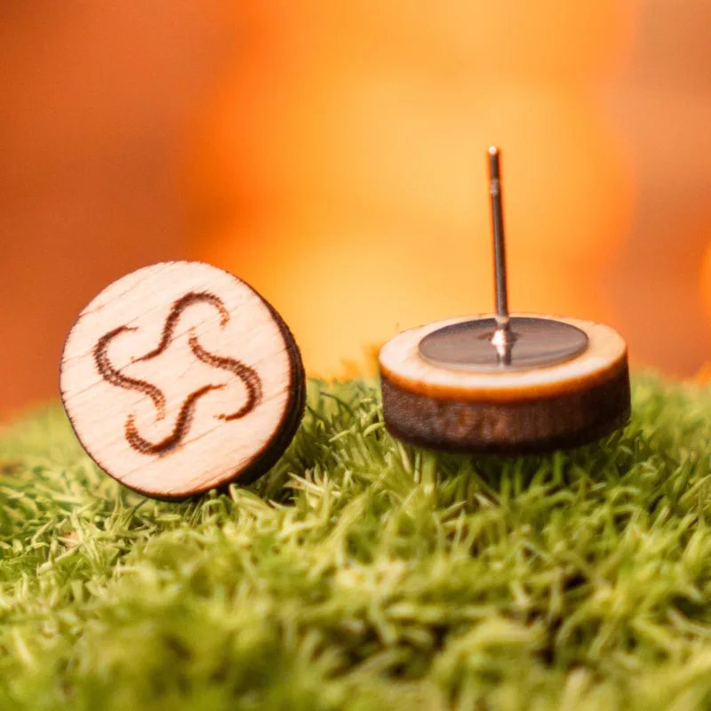 drevene-nausnice-space-root-motiv-interier-mech-detail