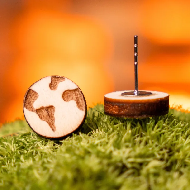 drevene-nausnice-space-root-motiv-zemekoule-interier-mech-detail