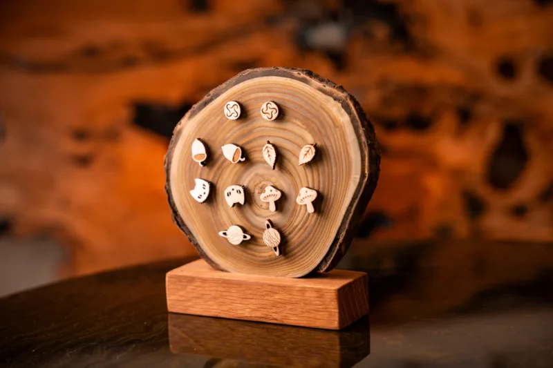 Dřevěný stojan na náušnice Guliver.