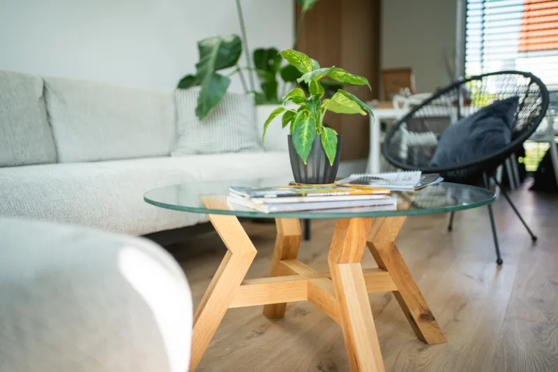 Konferenční dubový stůl Bon Veyron se skleněnou deskou Glase Cir 80 cm v interiéru pohled na desku s rostlinou zblízka.
